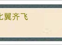 比翼齐飞