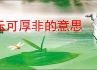 无可厚非的意思