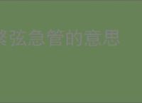 繁弦急管的意思