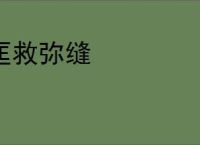 匡救弥缝