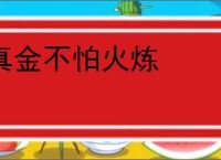 真金不怕火炼