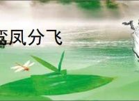 鸾凤分飞