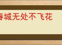 春城无处不飞花