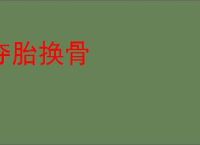夺胎换骨