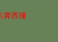 东奔西撞