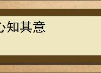 心知其意