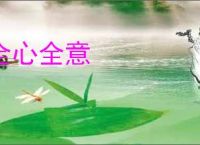 全心全意