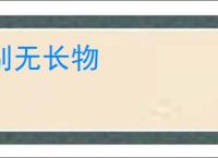 别无长物