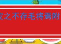 皮之不存毛将焉附
