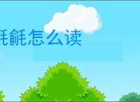 氍毹怎么读