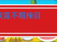 疾霆不暇掩目