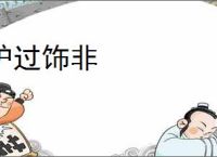 护过饰非