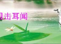 目击耳闻