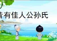 昔有佳人公孙氏