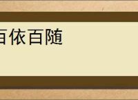 百依百随