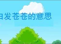 白发苍苍的意思