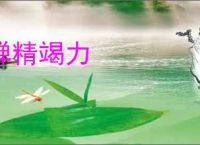 殚精竭力