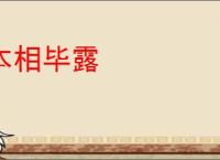 本相毕露
