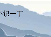 不识一丁