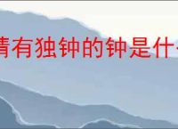 情有独钟的钟是什么意思