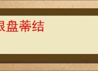 根盘蒂结