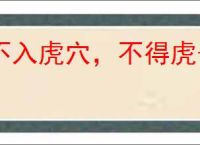 不入虎穴，不得虎子
