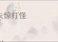 失惊打怪