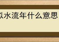 似水流年什么意思