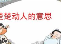 楚楚动人的意思