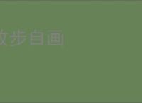 故步自画