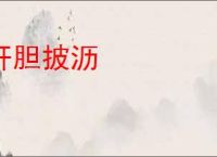 肝胆披沥