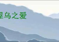 屋乌之爱