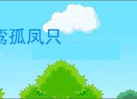 鸾孤凤只