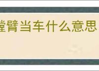 螳臂当车什么意思