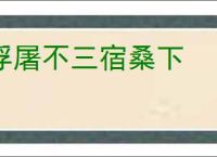浮屠不三宿桑下
