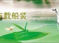 车载船装
