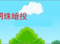 明珠暗投