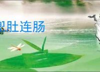 兜肚连肠