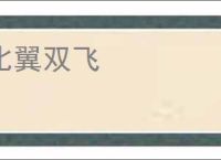 比翼双飞
