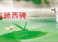东驰西骋