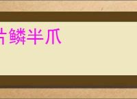 片鳞半爪