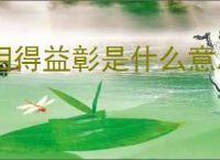 相得益彰是什么意思