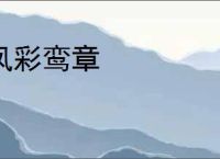 凤彩鸾章