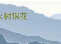 火树琪花