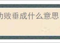 功败垂成什么意思