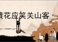 黄花应笑关山客