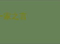 一家之言
