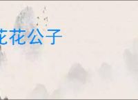 花花公子