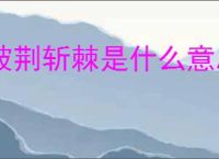 披荆斩棘是什么意思