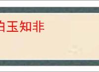 伯玉知非